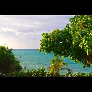 Meet your Posher, Janae